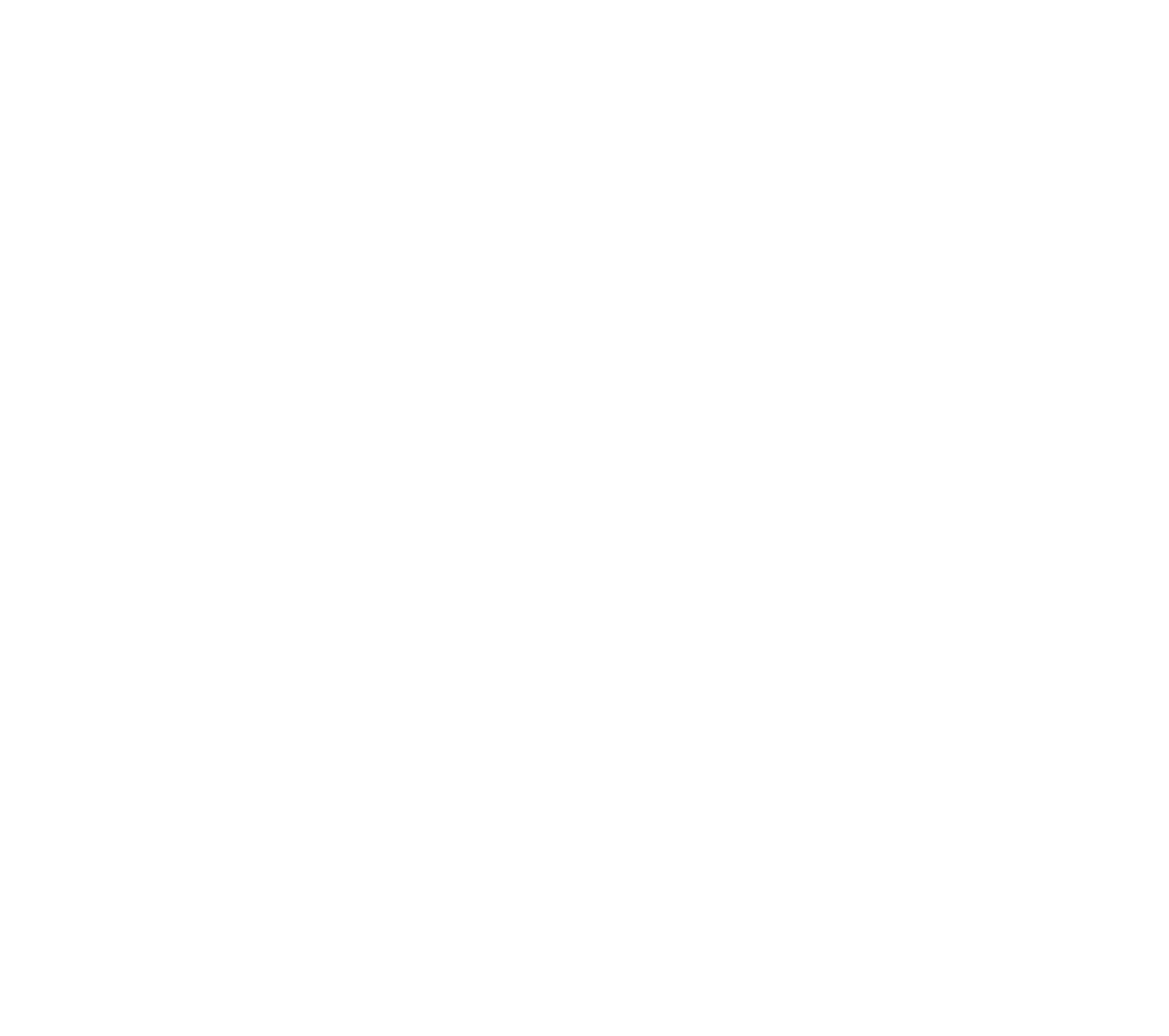 BibbonaBike Logo